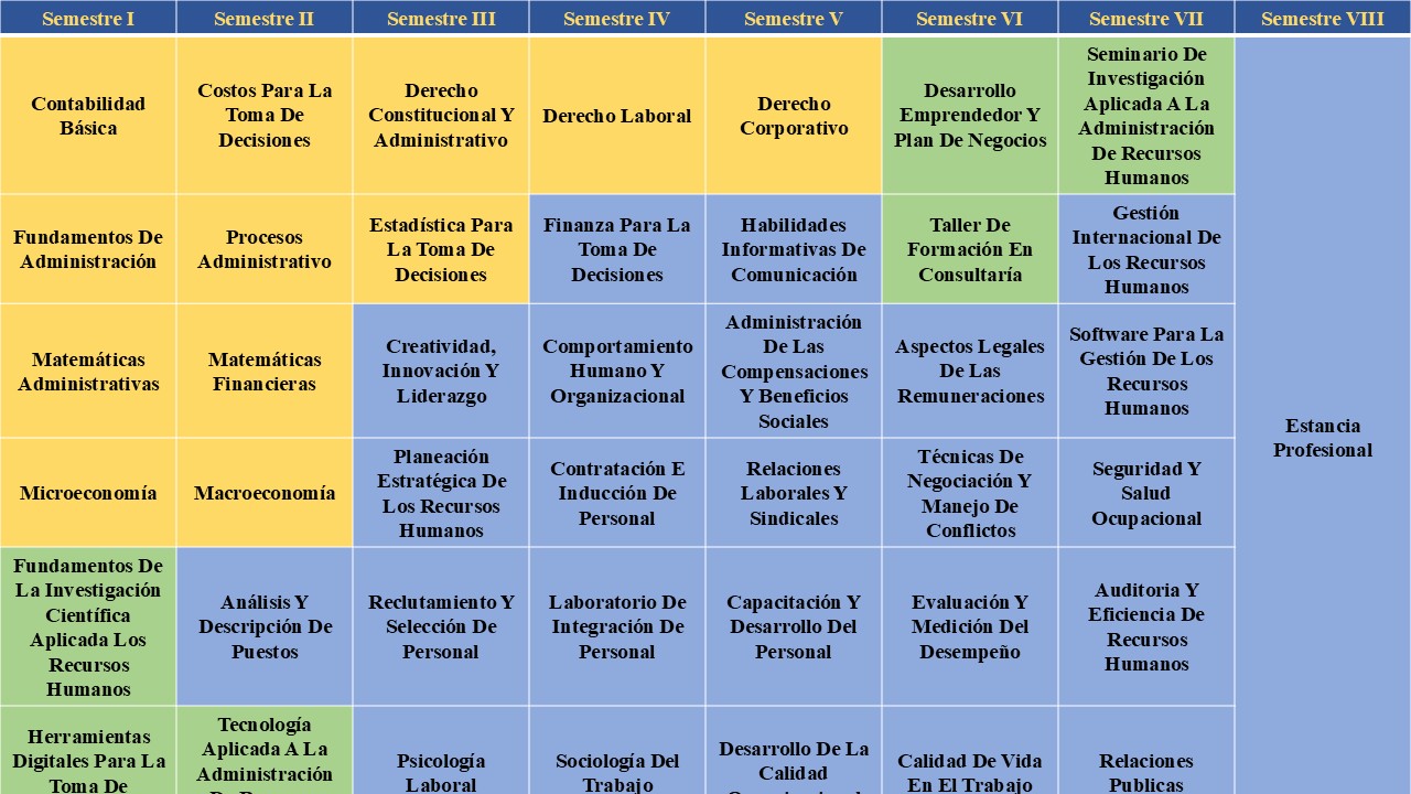 Mapa Curricular Recursos Humanos